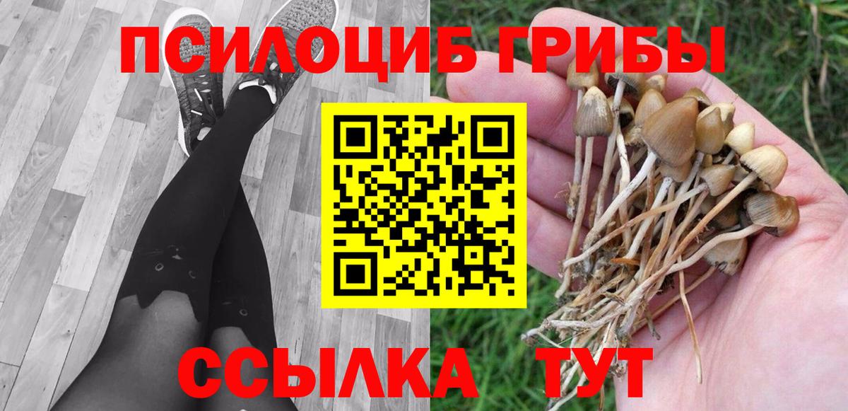 Большой Камень  Псилоцибиновые грибы Psilocybe  Вход с VPN 