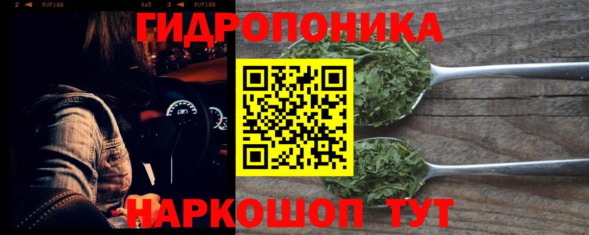 Бошки Шишки сатива  Конопля MAZAR  Большой Камень  Вход с VPN 